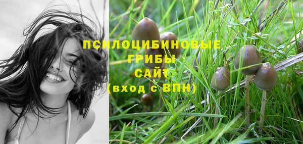 mdpv Вязьма