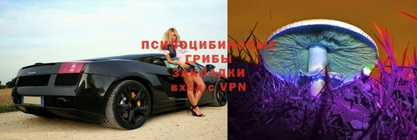 СК Вяземский