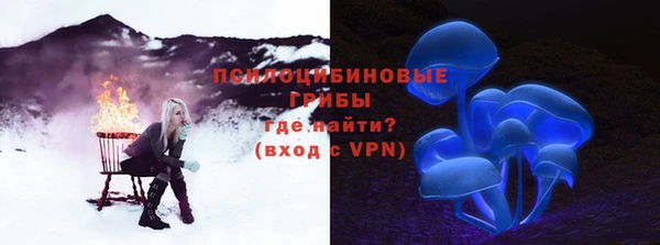 apvp Горняк