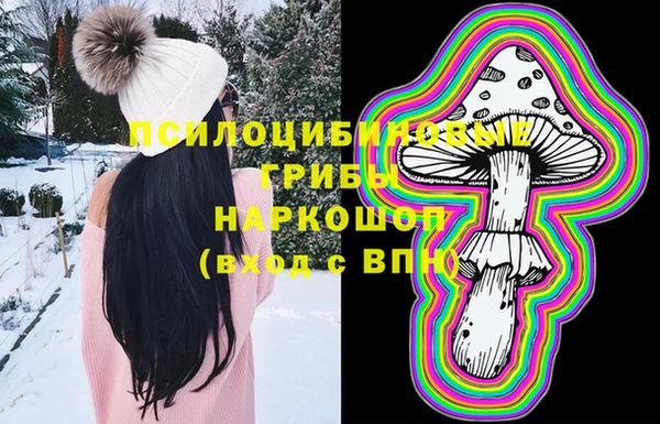 СК Вяземский