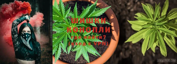 СК Вяземский