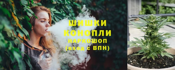 СК Вяземский