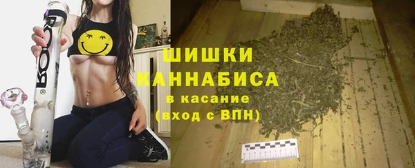 СК Вяземский