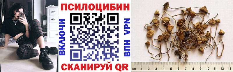 Галлюциногенные грибы мухоморы Монино