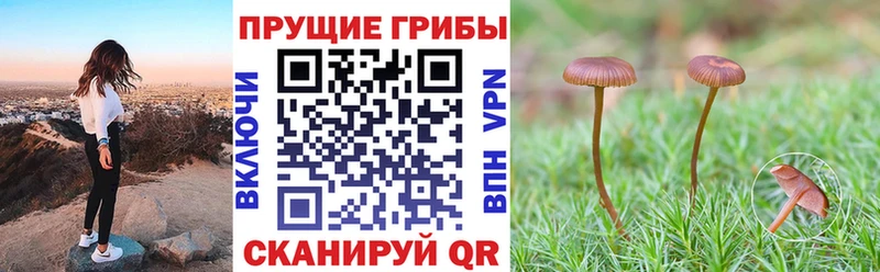 MEGA вход  Монино  Псилоцибиновые грибы прущие грибы 